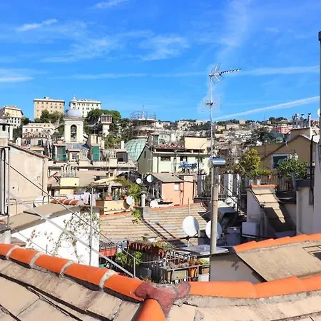Historic Center - Rooftop - City View *
